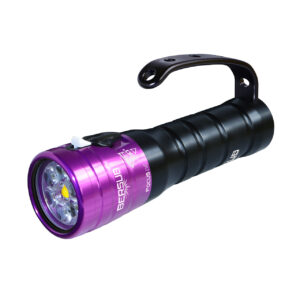 bersub-tauchlampe-focus-evo-aa-violett