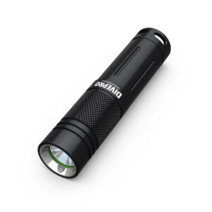 DIVEPRO - D1