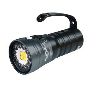 BERSUB - Focus EVO Tek 8500