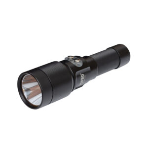 DIVEPRO - ML20